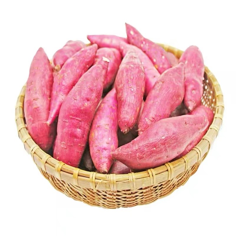 临安天目山小香薯：健康代餐好粗粮 全年供应