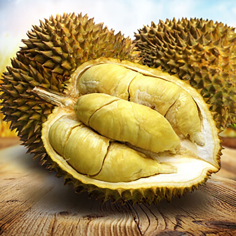 泰国金枕榴莲（进口）：香甜软糯香味浓郁，让您榴莲忘返的味道（全年供应）