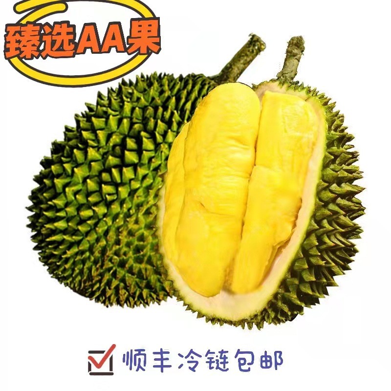 马来西亚AA品猫山王榴莲|