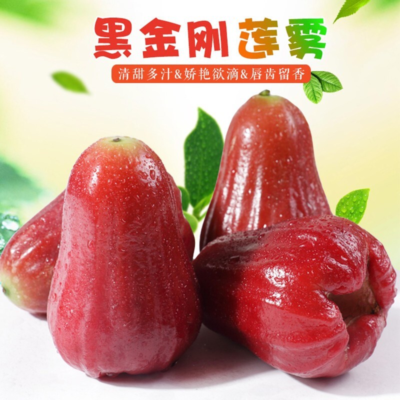 海南黑金刚莲雾：清甜多汁脆爽水果礼盒装全年 5斤6斤8斤