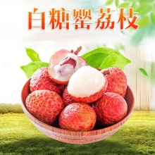 广东白糖罂樱荔枝礼盒：普通单果18g+/精品单果20g+ 顺丰冷链 （带软枝条发货） 5-6月中旬