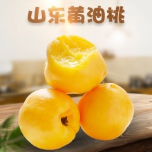 山东沂蒙黄金黄油桃（5-8月中旬）