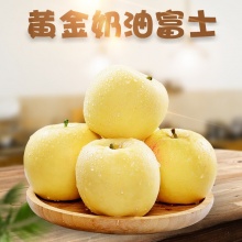 山东烟台黄金奶油富士苹果：精挑细选个大新鲜，香甜可口肉厚核小5斤9斤