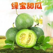 山东绿宝甜瓜 3-6月