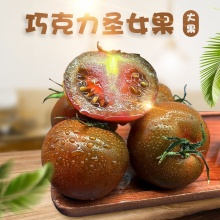 山东寿光巧克力圣女果 （黑色大果子）全年除了8-9月均有货 低糖，减肥可吃