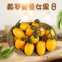黄罗曼圣女果 （橙色大果子）全年除了8-9月均有货 低糖，减肥可吃