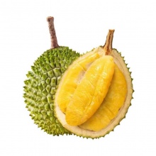 进口马来西亚D197猫山王榴莲：液氮冷冻果，树上自然熟（全年供应）