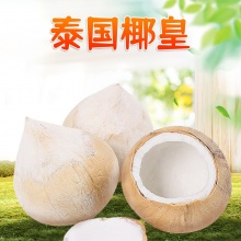 泰国椰皇：源自泰国的滋味，不一样的味蕾体验