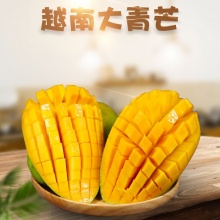 越南大青芒：甜蜜多汁进口水果3月-8月