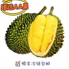 马来西亚AA品猫山王榴莲|