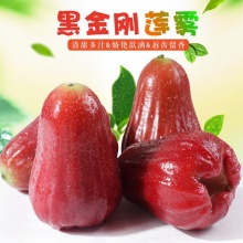 海南黑金刚莲雾：清甜多汁脆爽水果礼盒装全年 5斤6斤8斤